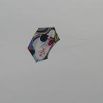 DSC02122