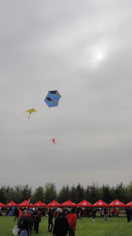 DSC02136