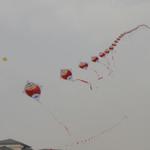 DSC02239