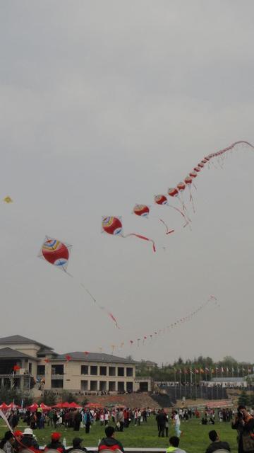 DSC02239