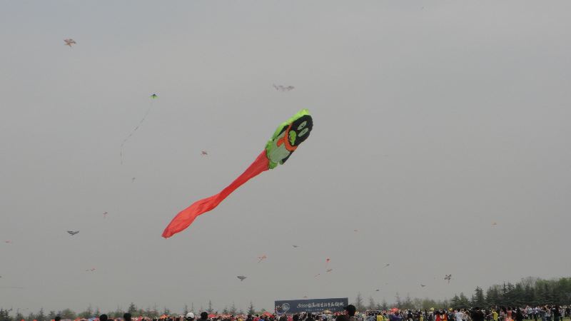 DSC02275