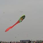 DSC02275