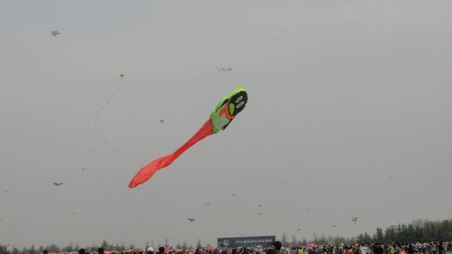DSC02275