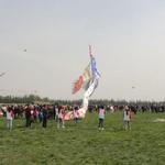 DSC02329